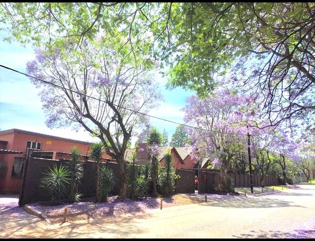 1 bed property to rent in FONTAINEBLEAU